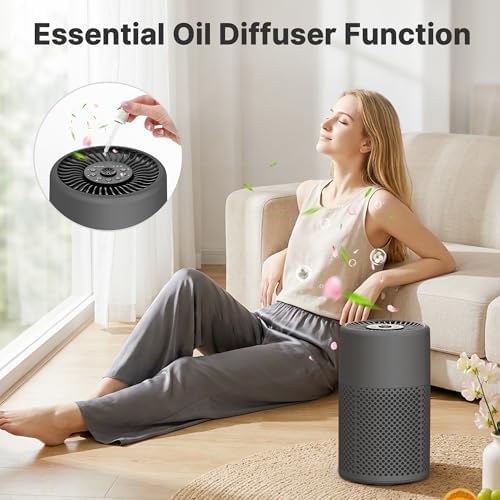 Air Purifiers for Bedroom, Dorm Room, True HEPA Filter for Smoke, Grey