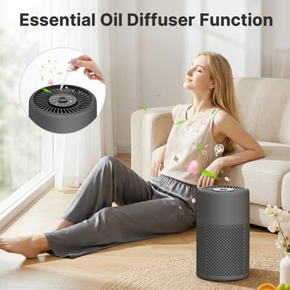 Air Purifiers for Bedroom, Dorm Room, True HEPA Filter for Smoke, Grey