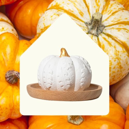 Plant Therapy Pumpkin Passive Fall Diffuser for Essential Oils