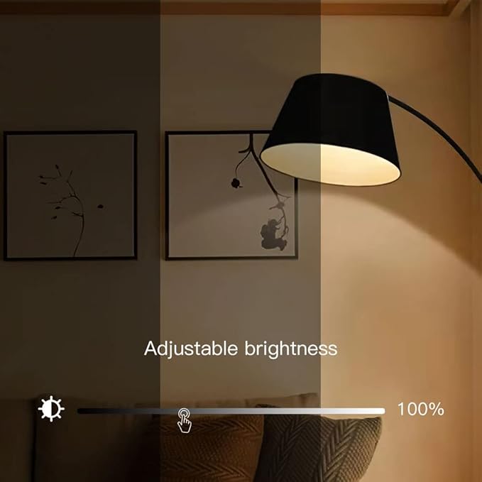 WiFi G95 RGBCW Smart Bulb Compatible with Alexa, Voice & APP Remote Control, Schedule & Timer,12W