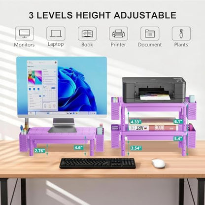 WALI Computer Monitor Stand with Storage and Pen Holder