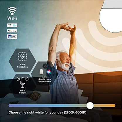 Sylvania WiFi LED Smart A21 Light Bulb, 14.5W Efficient, Tunable White, 2700K - 6500K, for Alexa/Google Assistant/Siri Shortcuts, Energy Star, Frosted - 1 Pack (75805)