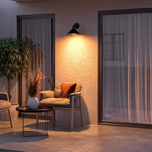Globe Electric 60000170 1-Light Outdoor Wall Sconce, Matte Black