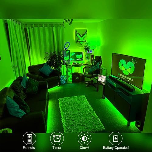 echosari Strip Lights Battery Powered with Remote Timer for Cabinet Shelve (Pack of 3)