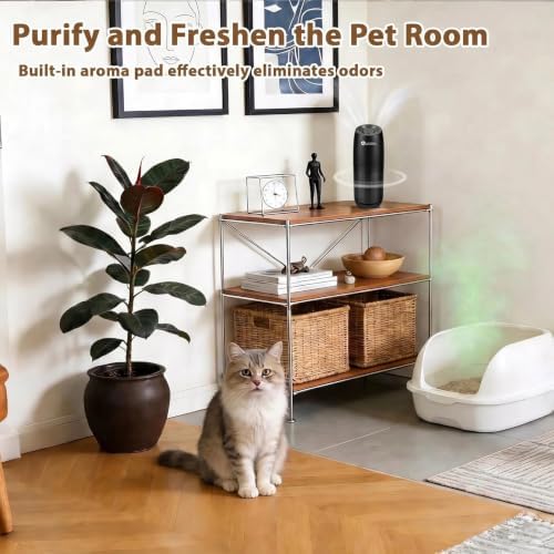 Aucleia Portable Car Air Purifier with H13 HEPA Filter, Smoke Odor Removal