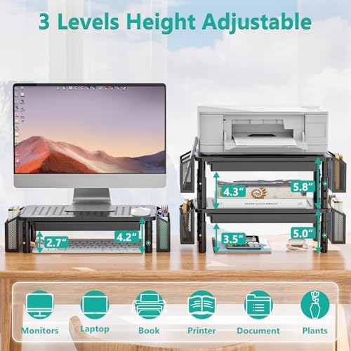 WALI Computer Monitor Stand with Storage and Pen Holder