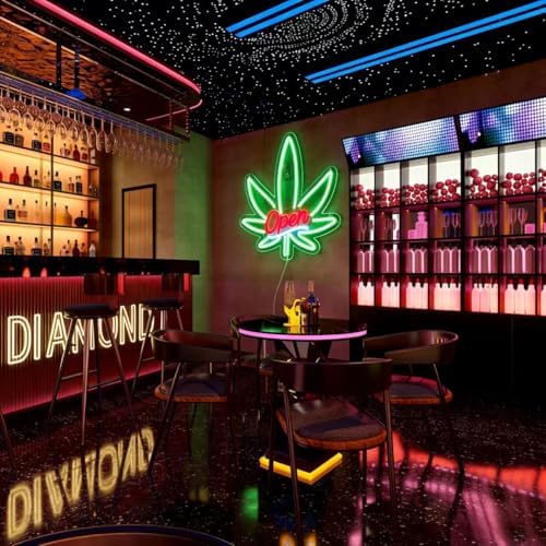 Open Neon Sign, USB 5V Powered LED Silicone Strip Neon Light, Acrylic Board Wall Decor for Business Bar Pub Store Front Door Wall Decor Commercial Grade Bright Signs, Non-Waterproof Indoor Use Only