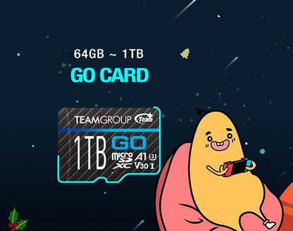 TEAMGROUP GO Card 256GB x 5 Pack MicroSDXC UHS-I U3 V30 4K for Action Cameras & Drone High Speed Flash Memory Card with Adapter for Outdoor Sports&Vlog, 4K Shooting,GoPro&Insta360&DJI TGUSDX256GU363
