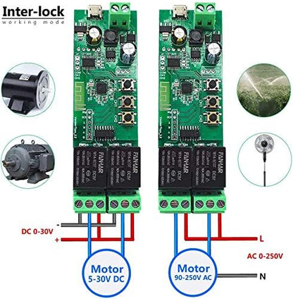 2-Channel WiFi Smart Switch Relay Module, TUYA/Smart Life App for Smart Home Remote Control, Momentary Time Adjustable, Compatible with Alexa/Google Assistant