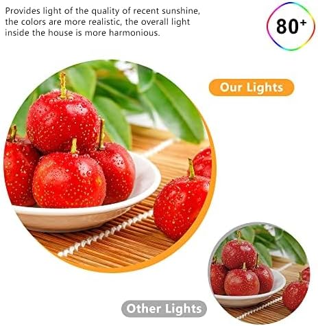 2 Inch LED Downlight, 3W Recessed Lighting Dimmable Ceiling Light Kit, 3000K Warm White, CRI80 Black LED Can Lights with Driver(35W Halogen Equivalent), 10 Pack