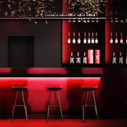 iNextStation Red LED Light Strip 16.4FT Neon Rope Lights (with DC12V Plug)