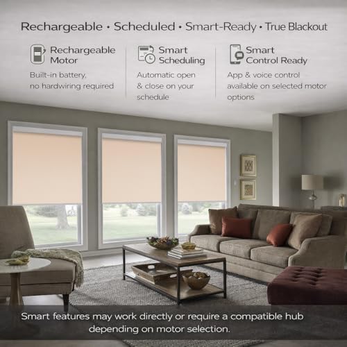 ZSHINE Motorized Blackout Roller Shades Remote Control Rechargeable(82010T)