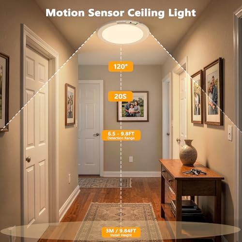 ODEETRONIC Rechargeable Motion Sensor LED Ceiling Light, 2 Pack for Closet