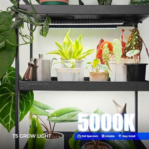Barrina T5 LED Grow Lights, 1FT 10W (2 X 5W), 5000K Full Spectrum, 2 Packs