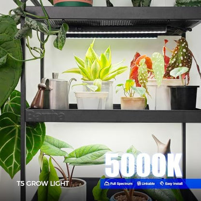 Barrina T5 Grow Lights for Indoor Plants, Full Spectrum, 1ft 5000K, 4 Packs