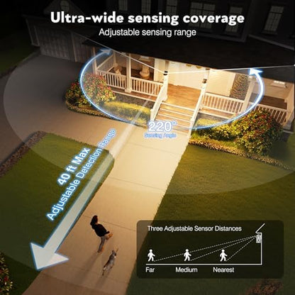 VIANIS Black Motion Sensor Porch Lights Outdoor, Anti-Rust, Waterproof