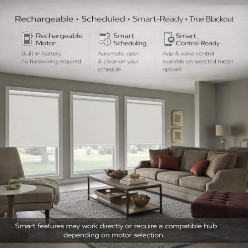 ZSHINE Motorized Blackout Roller Shades Remote Control Rechargeable(82141F)