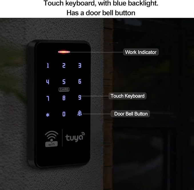 IP68 Outdoor Access Control System Kit WiFi Tuya RFID Keypad Waterproof 125KHz 13.56MHz + 180KG Electric Magnetic Lock + 10pcs 13.56Mz Keyfobs, Smart APP Remote Control