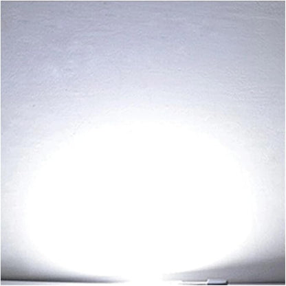 100W LED Chip COB lamp AC 220V 240V IP65 Smart IC No Need Driver DIY Flood Light Led Bulb Spotlight Outdoor Lamp Bead(Cold White)