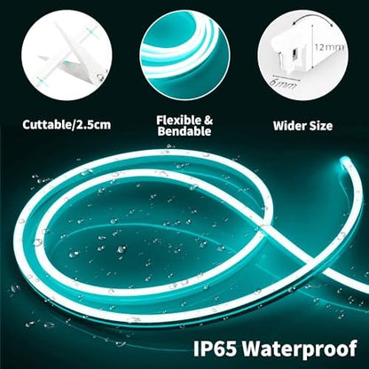 iNextStation 16.4FT 12V LED Strip Lights Ice Blue Neon Rope Light (No Plug)