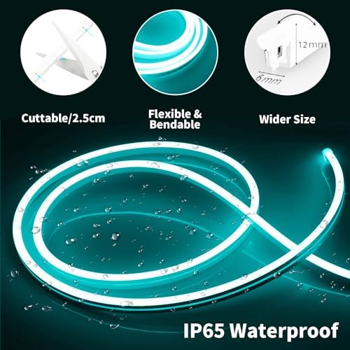 iNextStation 16.4FT 12V LED Strip Lights Ice Blue Neon Rope Light (No Plug)
