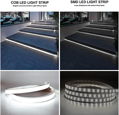 Pandery COB LED Strip Lights,24V Daylight White 6000K,Ip67 Waterproof led Light Strip,480LEDs/M,16.4ft/5M,CRI90+ Outdoor led Strip for Bathroom Decor,Pool,Garden(Power Not Included)