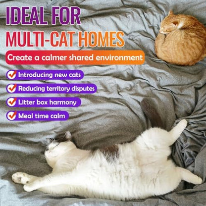 Petstoral Cat Calming Pheromone Diffuser 2 Diffusers & 6 Refills, Smart Cat Calming Diffuser with 4/8/12/24-Hour Timer, Daily Auto-On, Helps Reduce Anxiety, Spraying & Scratching
