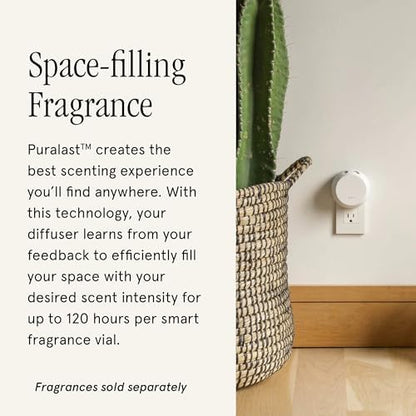 Pura Home 4 Fragrance Diffuser - Adjustable Home Diffuser with LED Light & Automatic Vial Detection - Wi-Fi Device for Personalized Home Scenting Experience - Long-Lasting Aroma