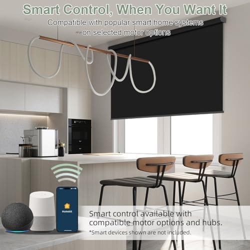 ZSHINE Motorized Blackout Roller Shades Remote Control Rechargeable(82010M)