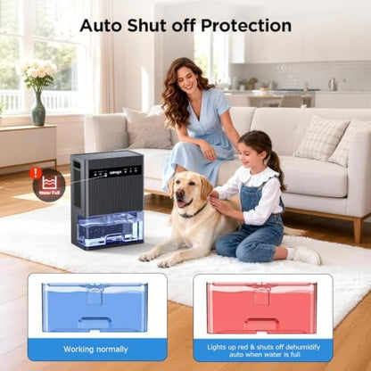 106 OZ Large Capacity Dehumidifier for Home, 1000 Sq. Ft. Coverage