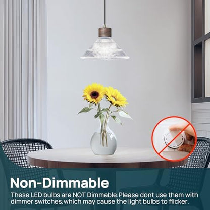 Linkind A19 LED Light Bulbs, 100 Watt Equivalent, 5000K Daylight 6 Packs