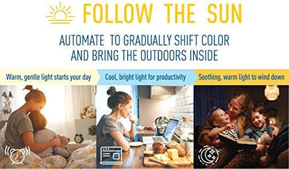 Cree Lighting Connected Max Smart Led Bulb A19 60W Tunable White + Color Changing, 2.4 Ghz, Works with Alexa and Google Home, No Hub Required, Bluetooth + WiFi, 1Pk