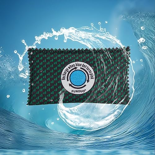 100g Rechargeable Desiccant Pack of 10,Moisture absorbers for storage,Moisture absorbers Bag,Desiccant Dehumidifier bag,Dehumidifier for Home Closets,Gun Safe, and Cars
