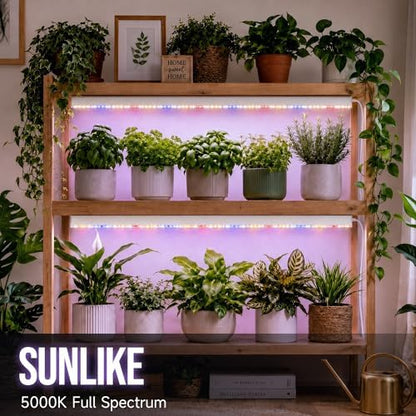 KingLED Grow Lights for Indoor Plants, Natural-Like 5000K Full Spectrum Plant Lights for Indoor Growing, 72W(4 X 18W) High PPFD 4FT LED Grow Light Strips for Seed Starting, Linkable, 4-Pack