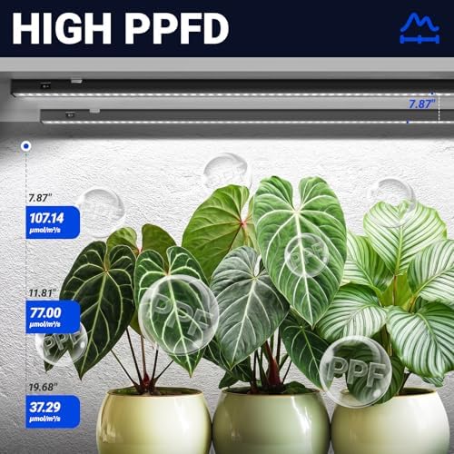 Barrina T5 Grow Lights, 2FT 80W(8 x 10W) Black Cover, 5000K White, 8 Packs