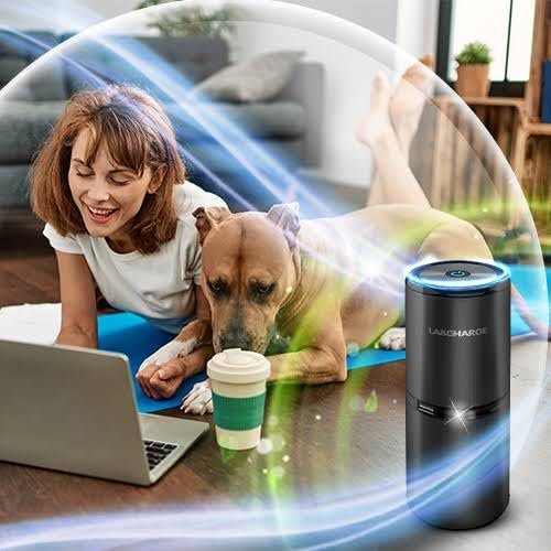 LabCharge Small Ionic Air Purifier for Home & Bedroom – Silent HEPA Filter – Covers 250 Sq Ft - Free Cleaner – Compact & Black Design - Pack of 2