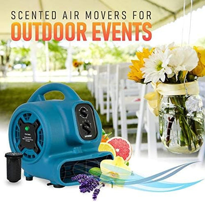 XPOWER Freshen Aire P-260NT 1/4 HP, 925 CFM, 4 Speeds Mini Mighty Scented Air Mover, Utility Fan, Dryer, Blower with Ionizer and Timer, Blue