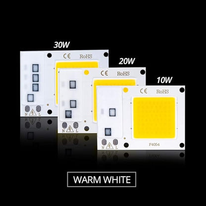 Fengyan Home Bulbs 2pcs/lot COB LED Spotlight 10W 20W 30W 110V 220V High Power LED Matrix Smart IC Bulb Floodlight Downlight Searchlight Source Household Lamp