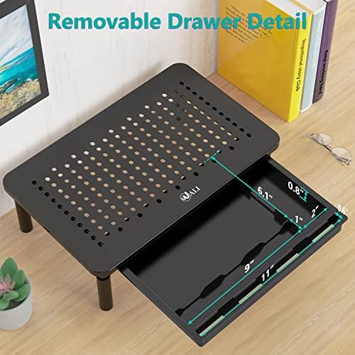 WALI Computer Monitor Stand with Storage