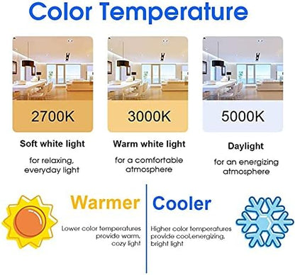 Energetic 60W Equivalent, A19 LED Light Bulb, 5000K Daylight, E26 Medium Base, Non-Dimmable LED Light Bulb 8W 760lm, ETL Listed, 6 Pack