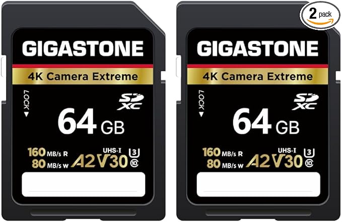 【5-Years Data Recovery】 GIGASTONE 64GB SD Card 2-Pack, 4K Camera Extreme, A2 V30 U3 SDXC Memory Card High Speed UHD Video Compatible with Canon Digital Camera, with 2 Mini case