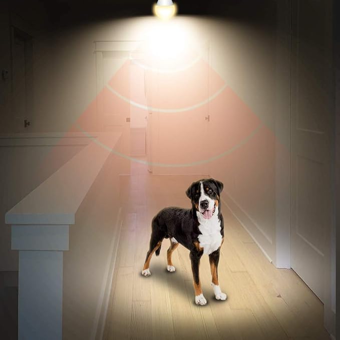 AmeriTop Motion Sensor Light Bulb- 2 Pack, 10W(60W Equivalent) 806lm Motion Activated Dusk to Dawn Security LED Bulb; UL Listed, A19, E26, Auto On/Off Indoor Outdoor Lighting (2700K Soft White)