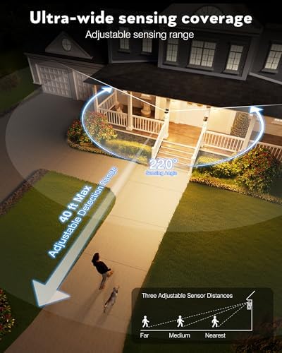 VIANIS Motion Sensor Porch Lights Outdoor, Distance and Time Adjustable