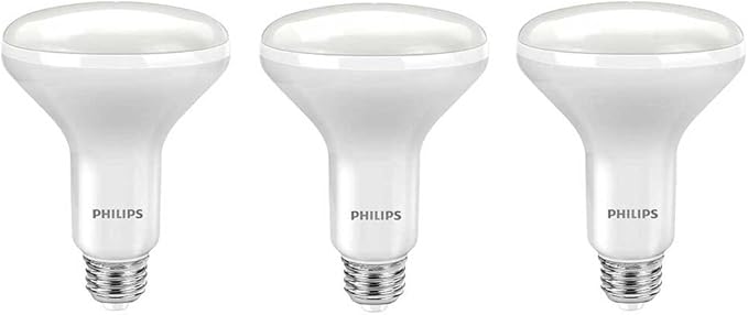 Philips LED Dimmable BR30 Light Bulb: 650-Lumen, 5000-Kelvin, 9-Watt (65-Watt Equivalent), E26 Base, Daylight, 3-Pack
