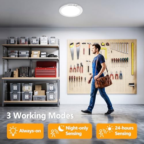 BrizLabs Rechargeable Motion Sensor LED Ceiling Light 2 Pack Closet Lights