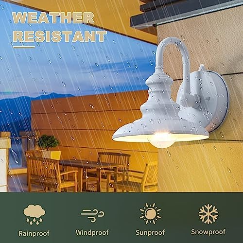 LONEDRUID Dusk to Dawn Sensor Outdoor Gooseneck Barn Light Fixture White