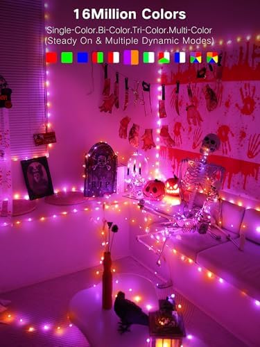 BrizLabs Smart RGB Fairy Lights 100 LED, USB-C Powered & App/Voice Control