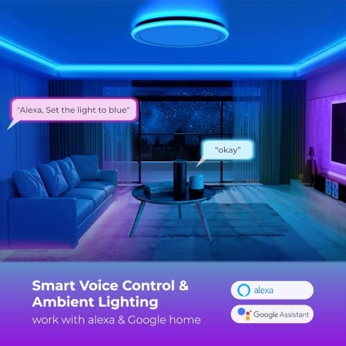 BLNAN Smart RGB LED Flush Mount Ceiling Light with Remote, 13 Inch 24W Dimmable Color Changing Low Profile Wired White Fixture, Works with Alexa Google Home App for Bedroom Living Kids Room Party