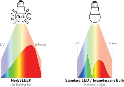 Norb NorbSLEEP Low-Blue Sleep Light Bulb – Melatonin-Boosting Nighttime LED for Restful Sleep – for Babies, Kids, & Adults – 6W A19 Dimmable, Natural Evening Spectrum, White Not Amber (1-Pack)
