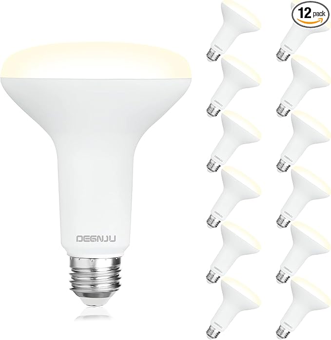 DEGNJU 12 Pack BR30 LED Recessed Light Bulb, Dimmable Indoor Flood Light Bulbs CRI80 7W Equivalent 65W 3000K Warm White 650 Lumens, 15000 Lifetime Hours E26 Base LED Can Light Bulb, Flicker-Free